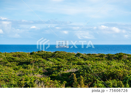 八丈島 島 自然 離島 伊豆諸島 風景 リゾート ワーケーション 観光 旅行 八丈島 島 自然 離島 伊豆諸島 風景 リゾート ワーケーション 観光 旅行 75606726