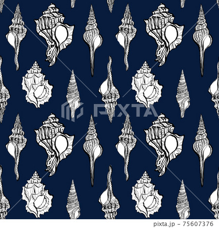 Seamless pattern with different seashells on dark blue background 75607376