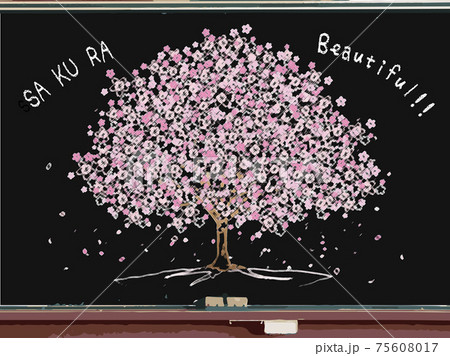 桜を黒板に描いてみたのイラスト素材