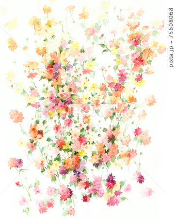 透明水彩 水彩画 花 75608068