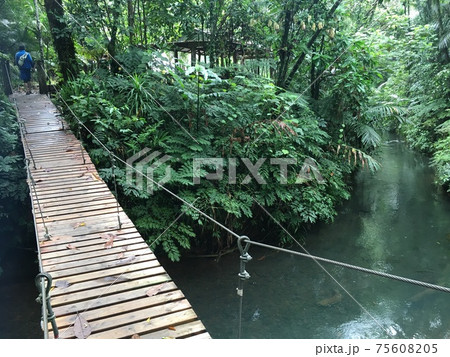 山奥の川にかかる吊り橋 75608205