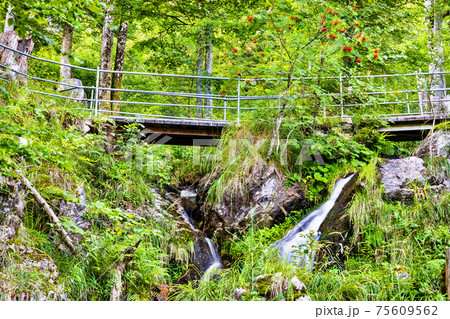 Fahler waterfall in the Black Forest, Germany 75609562