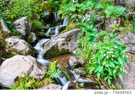 Todtnau Waterfall in the Black Forest Mountains, Germany Todtnau Waterfall in the Black Forest Mountains, Germany 75609563