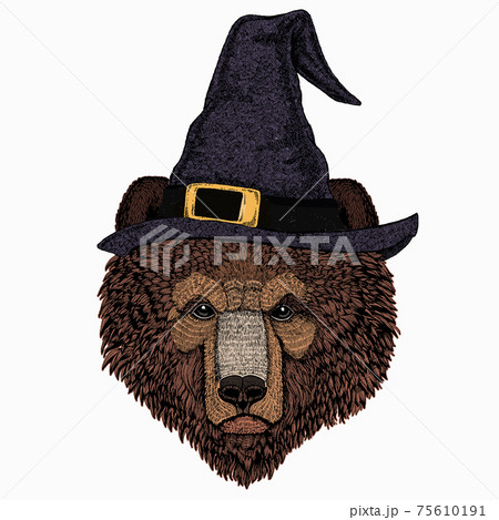 Bear wild animal face. Grizzly cute brown bear head portrait. 75610191