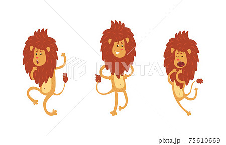 Cute Lion Humanized Character in Different Actions Set, Funny African Animal in Various Poses Cartoon Vector Illustration 75610669