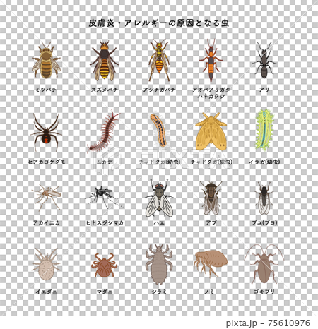 害虫 セット イラスト 75610976
