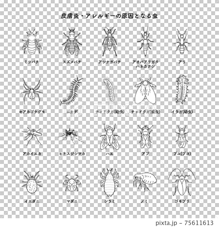 害虫 セット イラスト モノクロ 害虫 セット イラスト モノクロ 75611613