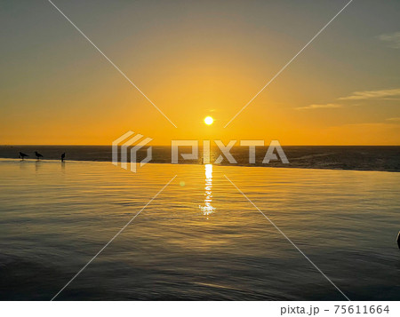 Footage swimming pool on the sunset Footage swimming pool on the sunset 75611664