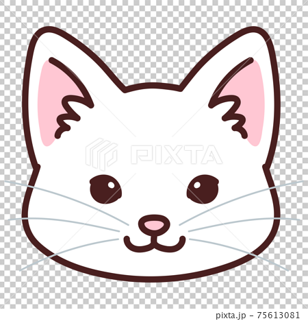 white cat png