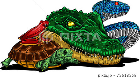 Set Of Reptiles And Amphibians Wild Crocodile のイラスト素材