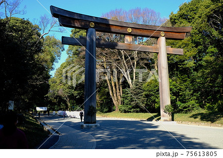 明治神宮 大鳥居 明治神宮 大鳥居 75613805
