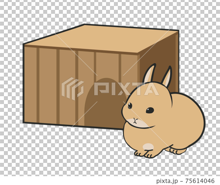House and mini rabbit House and mini rabbit 75614046