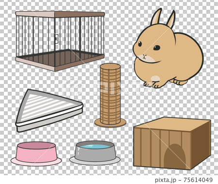 ミニウサギを飼うときの準備 ミニウサギを飼うときの準備 75614049