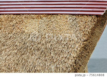 Fragment of a thatched roof, ecological housing concept. Fragment of a thatched roof, ecological housing concept. 75614808