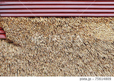 Fragment of the texture of the old thatched roof. 75614809