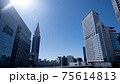 青空を望む新宿 75614813