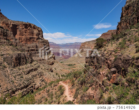 Grand Canyon National Park, Arizona Grand Canyon National Park, Arizona 75614926