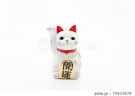 招き猫 白背景 招き猫 白背景 75615676
