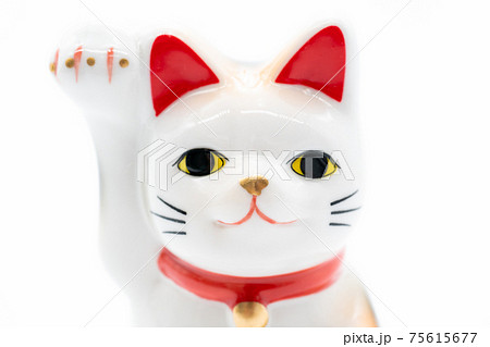 招き猫　白背景 75615677