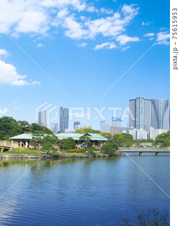 【東京都・2017年6月】　浜離宮庭園　都市景観 75615953