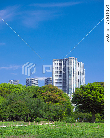 【東京都・2017年6月】 浜離宮庭園 都市景観 【東京都・2017年6月】 浜離宮庭園 都市景観 75616108