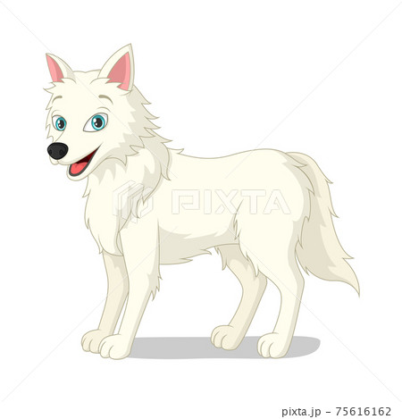Cartoon arctic wolf on white background 75616162