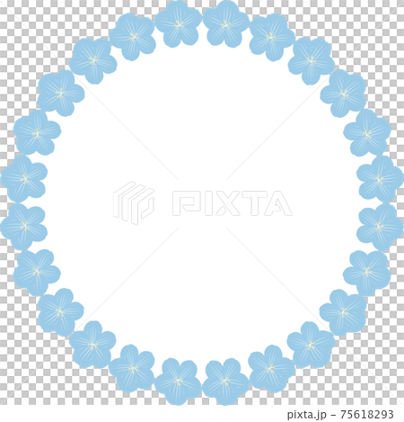 Nemophila Ruri Karakusa花彈簧框架框架框架複製空間背景圖材料 Nemophila Ruri Karakusa花彈簧框架框架框架複製空間背景圖材料 75618293