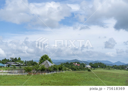 高原の夏 75618369