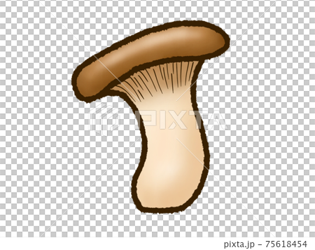 king oyster mushroom king oyster mushroom 75618454