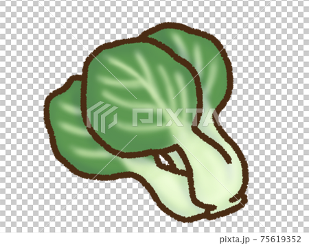 チンゲン菜のイラスト素材 チンゲン菜のイラスト素材