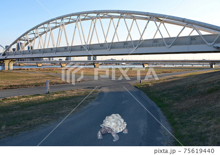 分かれ道と亀人形 75619440