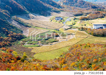 紅葉満開のトレッキングイメージ(大山鏡ヶ成 像山) 紅葉満開のトレッキングイメージ(大山鏡ヶ成 像山) 75619598