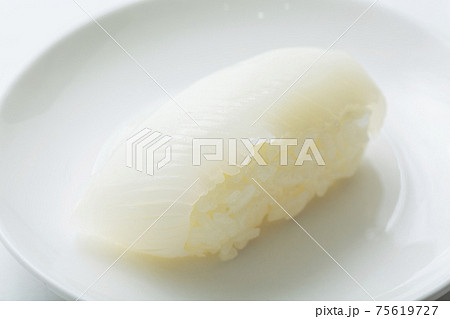 鮨　イカ 75619727