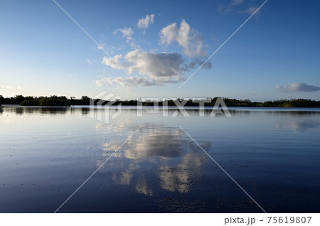 Nine Mile Pond afternoon cloudscape and reflections in Everglades National Park. 75619807