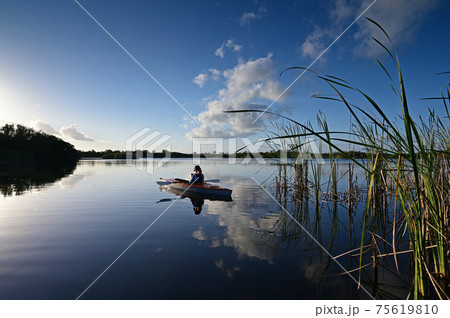 Woman kayaking on Nine Mile Pond in Everglades National Park, Florida. 75619810