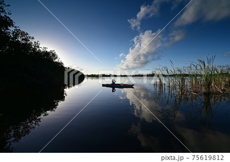 Woman kayaking on Nine Mile Pond in Everglades National Park, Florida. 75619812
