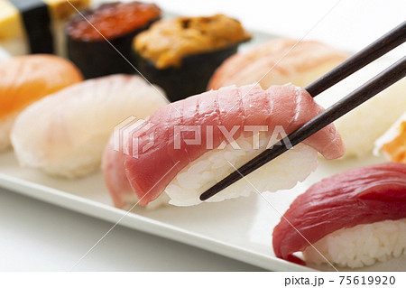 鮨　中トロ 75619920