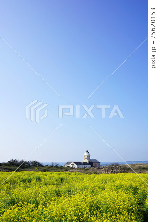 春 晴れ 風景 75620153