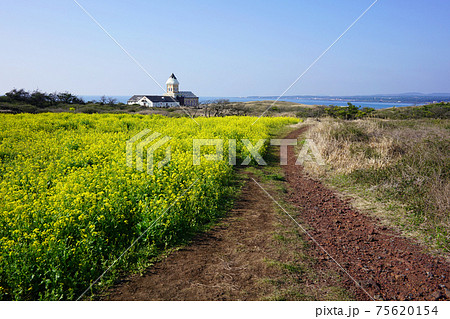 晴れ 風景 海 75620154
