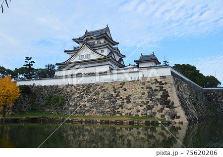 岸和田城(大阪府岸和田市岸城町) 岸和田城(大阪府岸和田市岸城町) 75620206