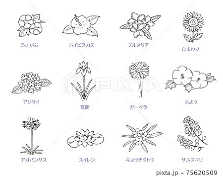 Summer Flower Line Art Icon Set Monochrome Stock Illustration