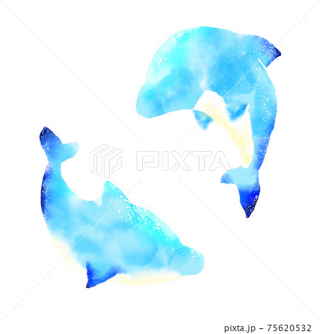 2頭のイルカの水彩画のイラスト素材