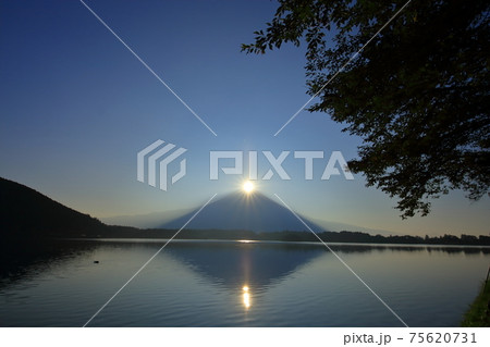 夏のWダイヤモンド富士(田貫湖) 静岡県 夏のWダイヤモンド富士(田貫湖) 静岡県 75620731