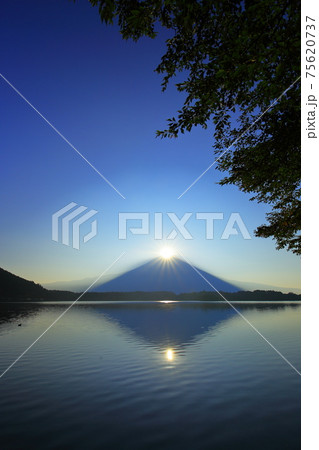 夏のWダイヤモンド富士（田貫湖）　静岡県 75620737