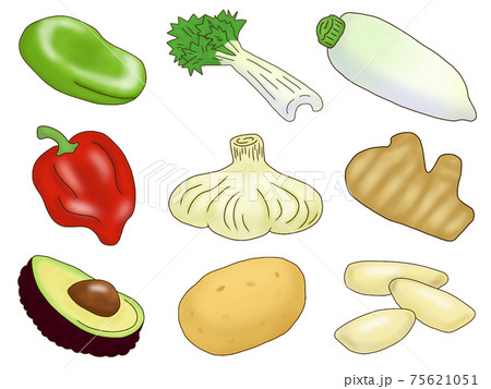 野菜セット 75621051