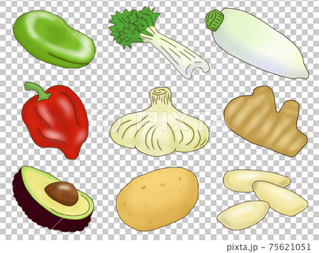 野菜セット 75621051