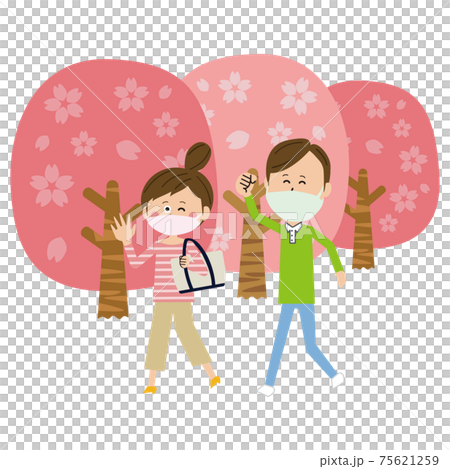 Pop people who enjoy cherry blossom viewing while walking 75621259