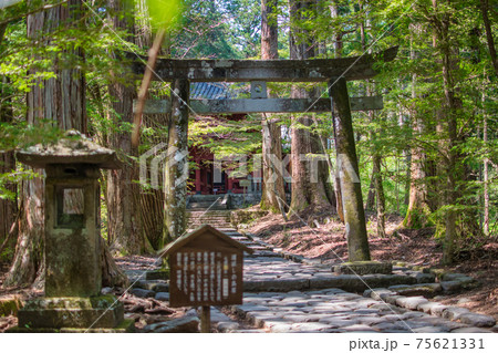 栃木県日光の滝尾神社 75621331