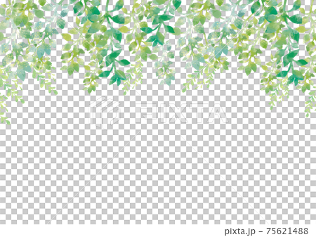 Watercolor-style fresh green background material Forest trees Forest fresh green Nature forest bath 75621488