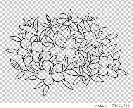 ツツジ 線画 イラスト ツツジ 線画 イラスト 75621781